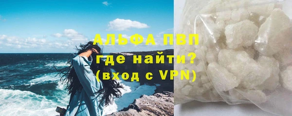 PSILOCYBIN Ладушкин