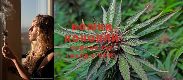 PSILOCYBIN Ладушкин