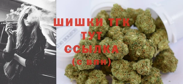 ГАЛЛЮЦИНОГЕННЫЕ ГРИБЫ Лиски