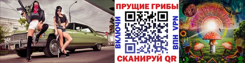 Галлюциногенные грибы прущие грибы  Красавино 